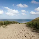 Zoomers Aan Het Bos Castricum
