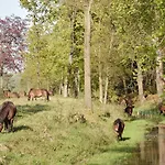 Zoomers Aan Het Bos 酒店 4*