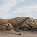 Zoomers Aan Het Bos 酒店 卡斯特里科姆