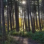 Zoomers Aan Het Bos 4* 卡斯特里科姆
