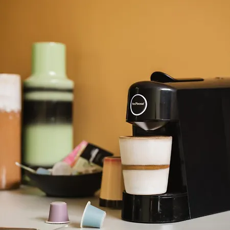 Zoomers Aan Het Bos 4* Castricum