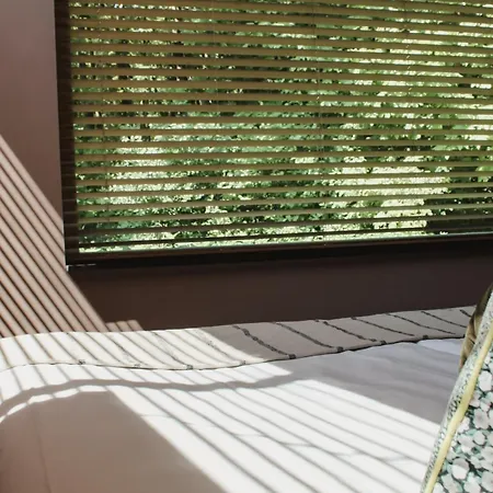 Zoomers Aan Het Bos Castricum