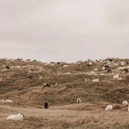Zoomers Aan Het Bos 4*