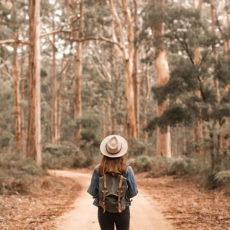 Zoomers Aan Het Bos Szálloda