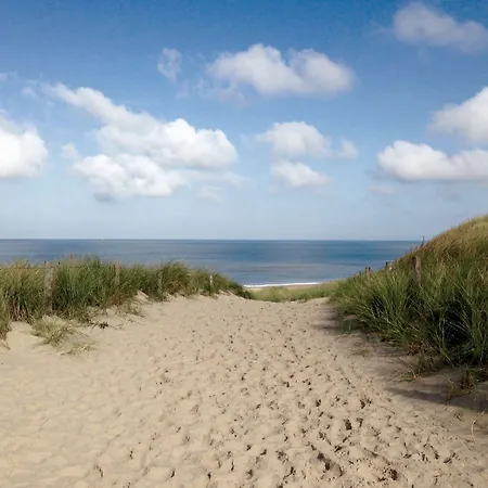 Zoomers Aan Het Bos Castricum