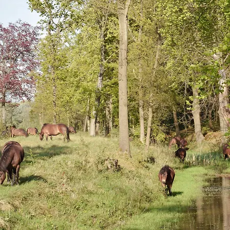 Zoomers Aan Het Bos 호텔 4*